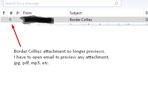 Border Collies attachment