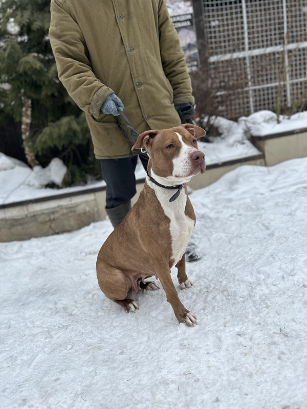 E0217A00-2E86-4D84-B41A-2D5345CE4943