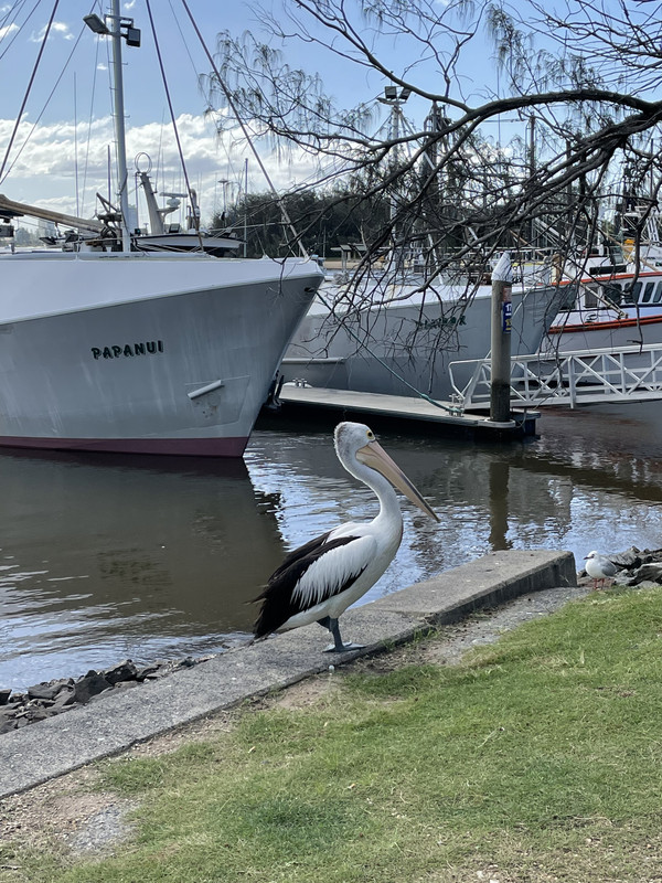 3562DF73-5ECF-4383-8F8F-54F9B5BB0B45