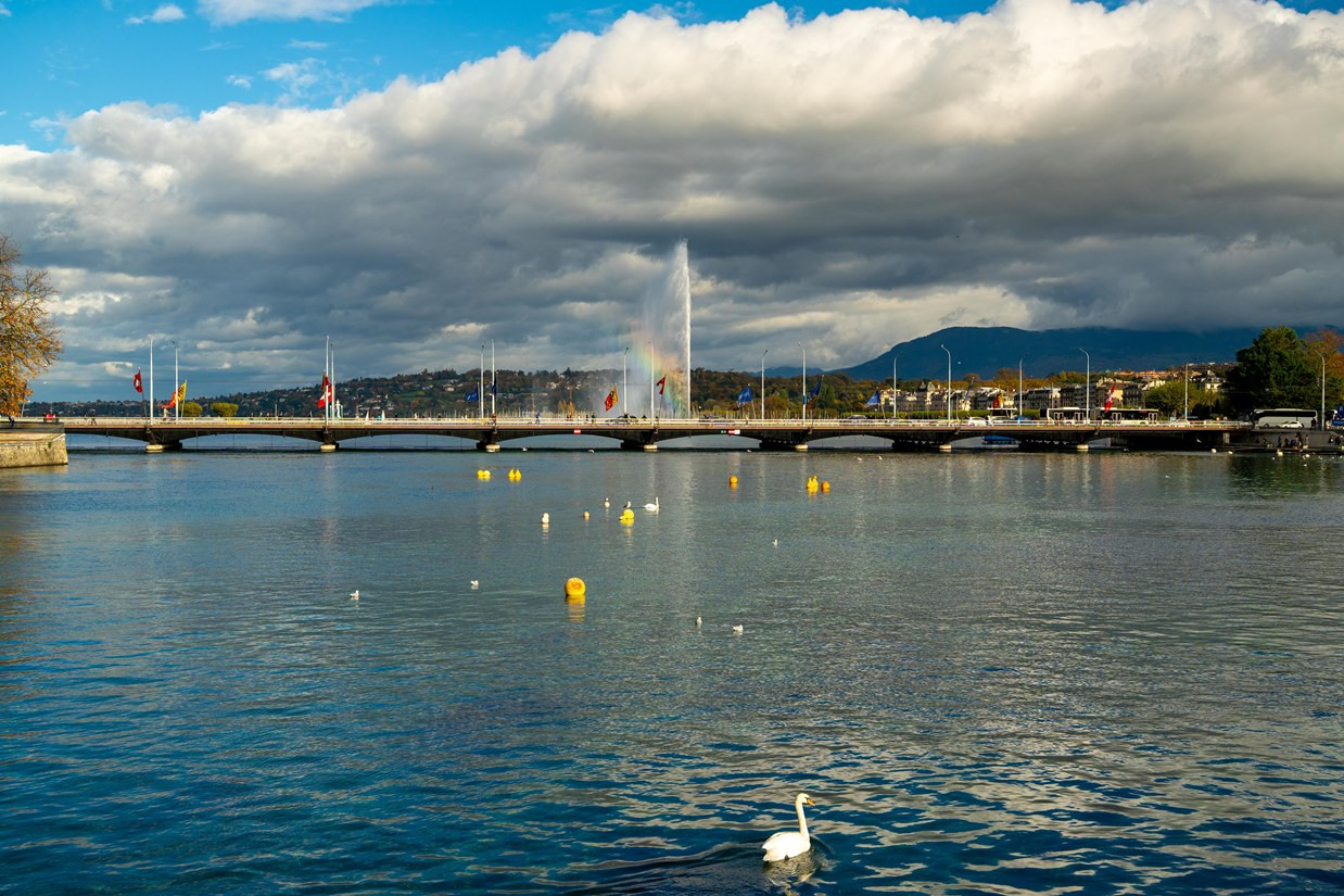 Geneva Streets