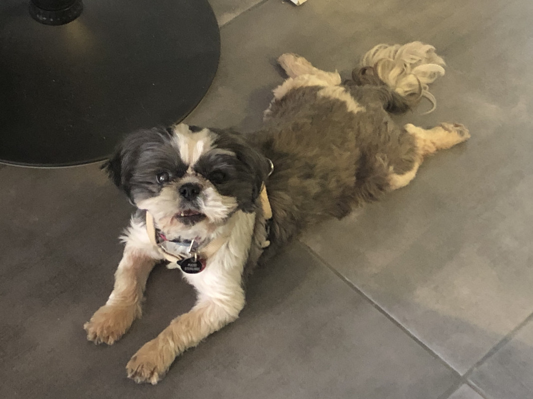 [Image: 199-EC18-B-1122-4651-937-D-7-C4-AA0931-CAD.jpg]