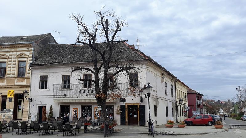 Slika