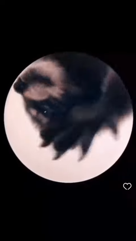 videoframe_3199