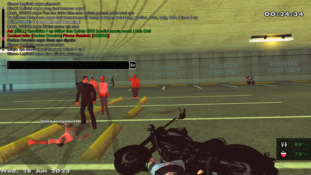 samp-28-06-2023-00-24-14.png