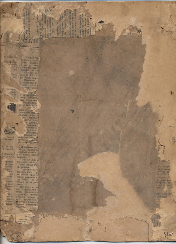 1крестныйход 0003