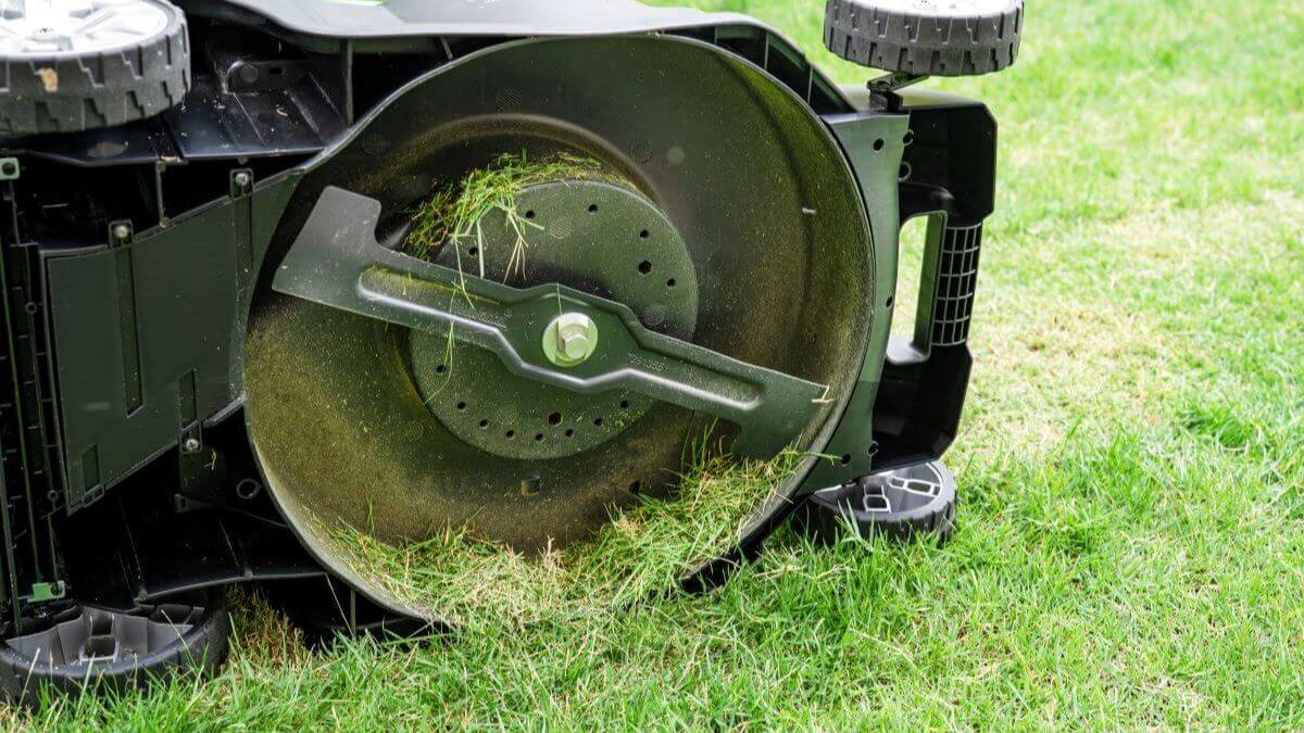 blade-in-lawn-mower-machine