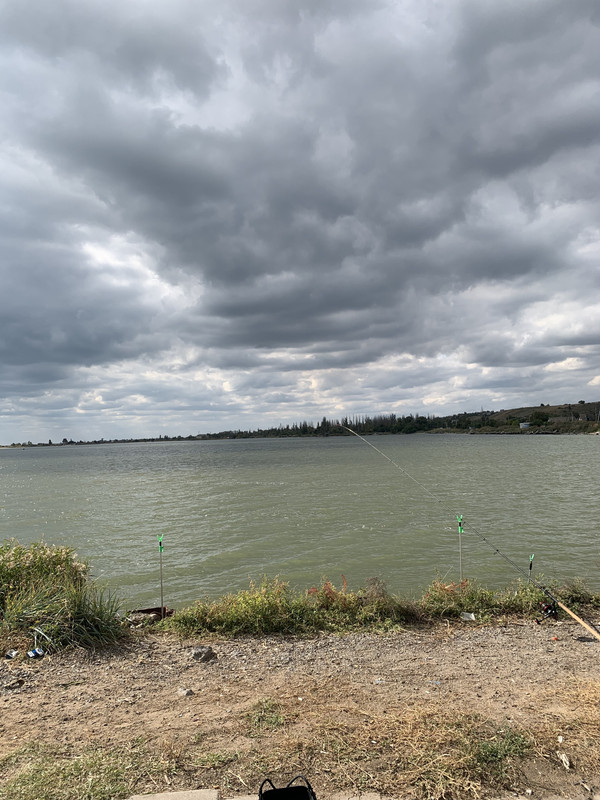 793035CC-9FA7-49C2-88C8-04D3C20B1091