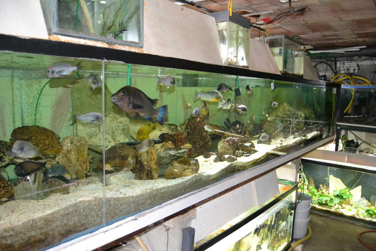 7m coté droit mars20