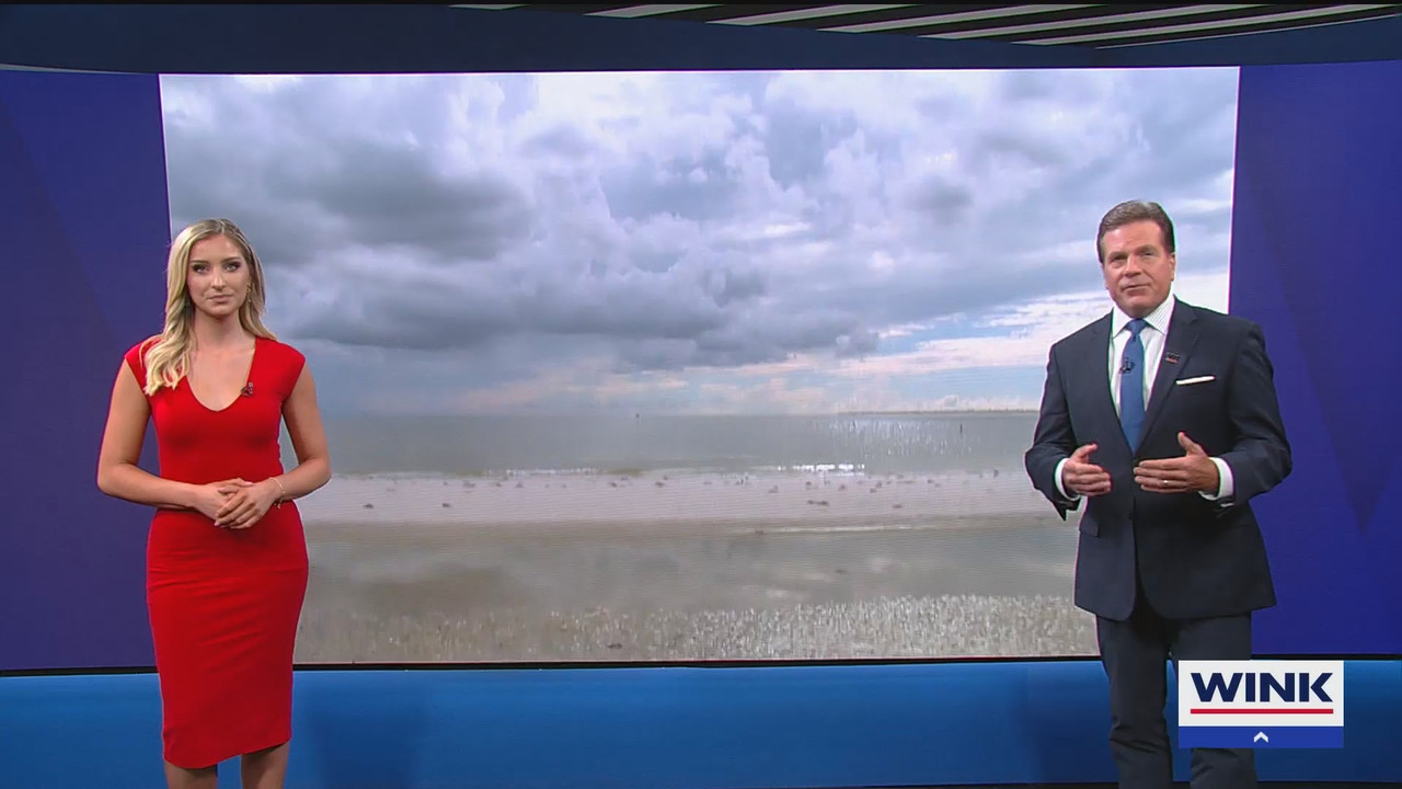 09.20 - 04.00.00 - WINK News at 11  ᴺᵉʷ. Local and regional news..ts_snapshot_05.37.948