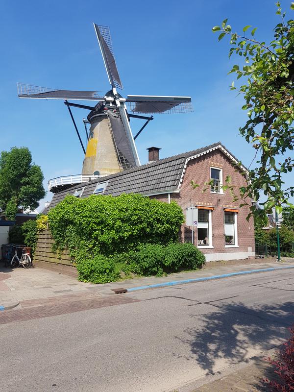 pieter, Oog in't Zeil 04 Cothen 26-05-2018