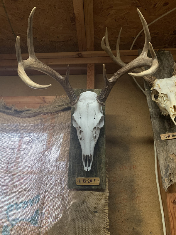 C0773E78-8959-42DF-97B6-383DE6A869F7