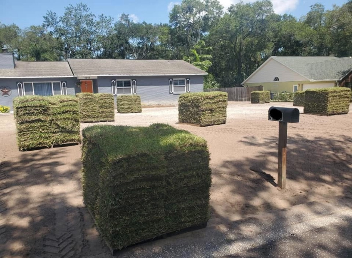 wholesale sod Tampa