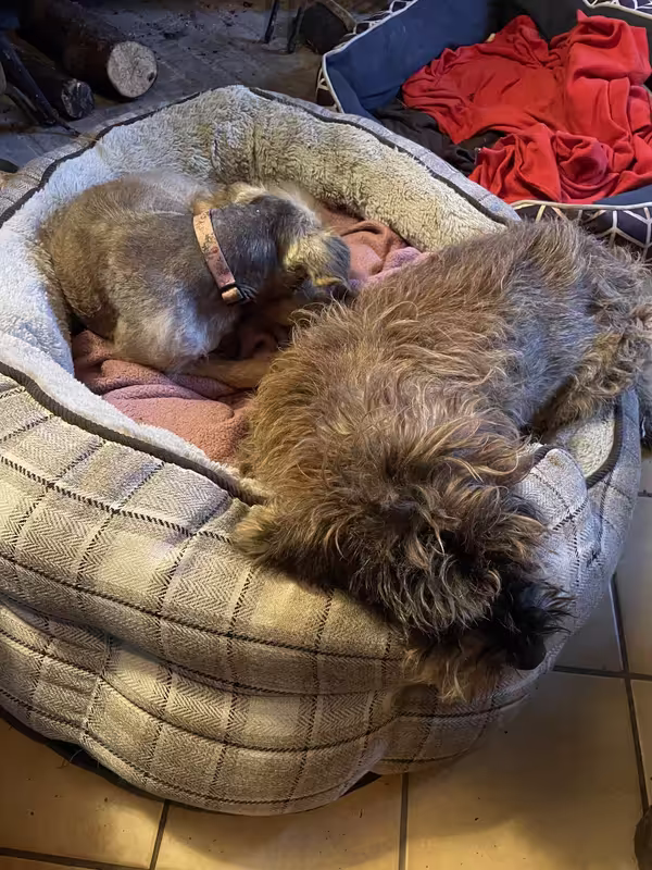 [Image: IMG-20241228-175425.avif]