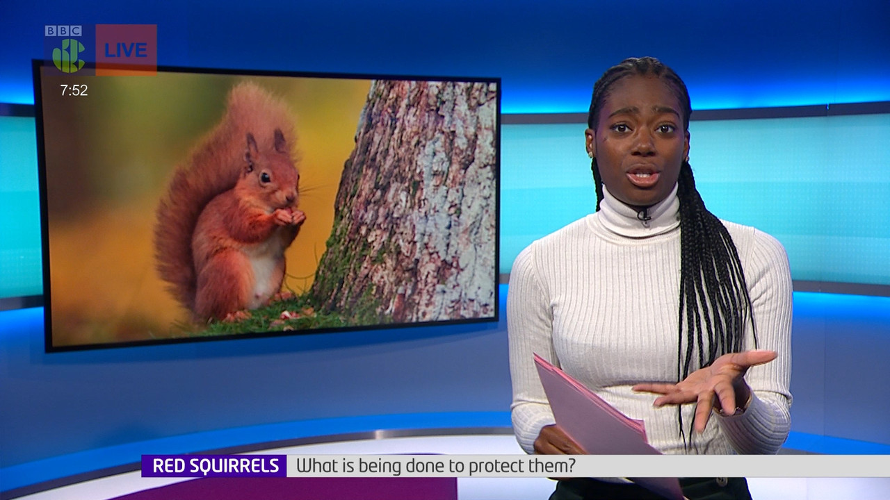Newsround_20220322_07450755.ts_snapshot_08.30.738