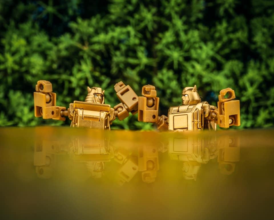 204520448_2134940663314904_9153196174737341726_n