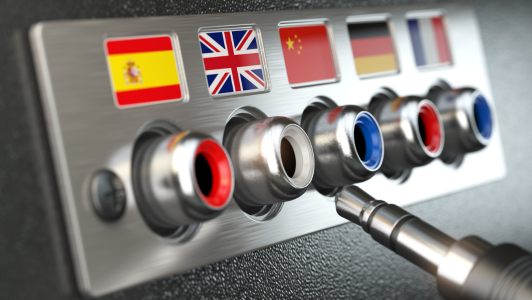 Cross Language Learning