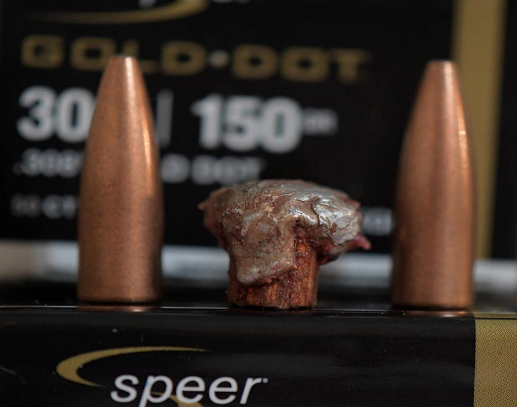 LOW-REZ-boar-bullet-SPR150GDB-BO-170yds_Fotor