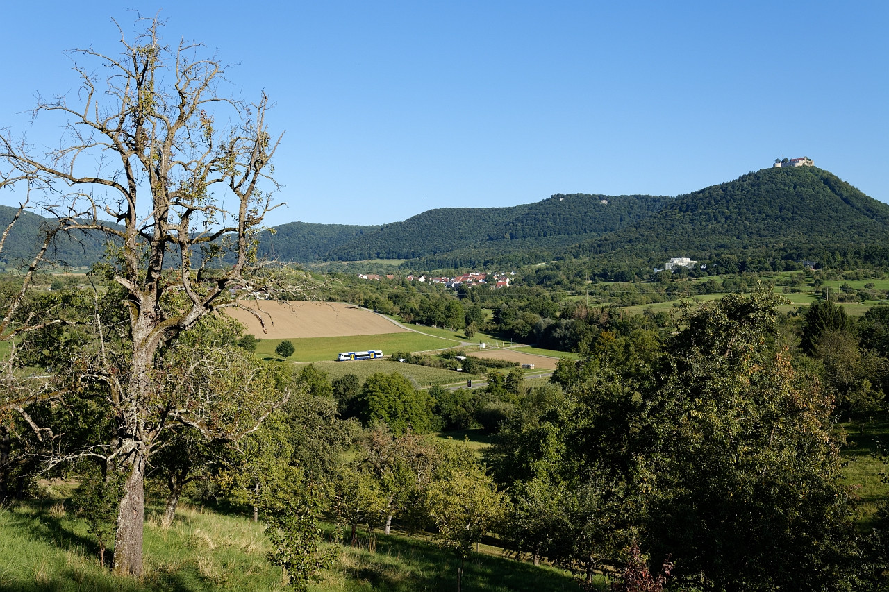 2025 08 18 650 692 WEG DPN 88544 TNU TNEF TLSH 9998 90DE1