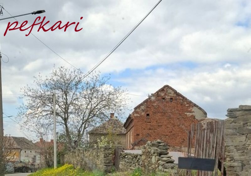 Slika