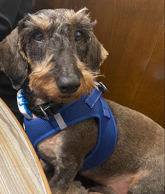 [Image: PHOTO-2021-2.jpg]