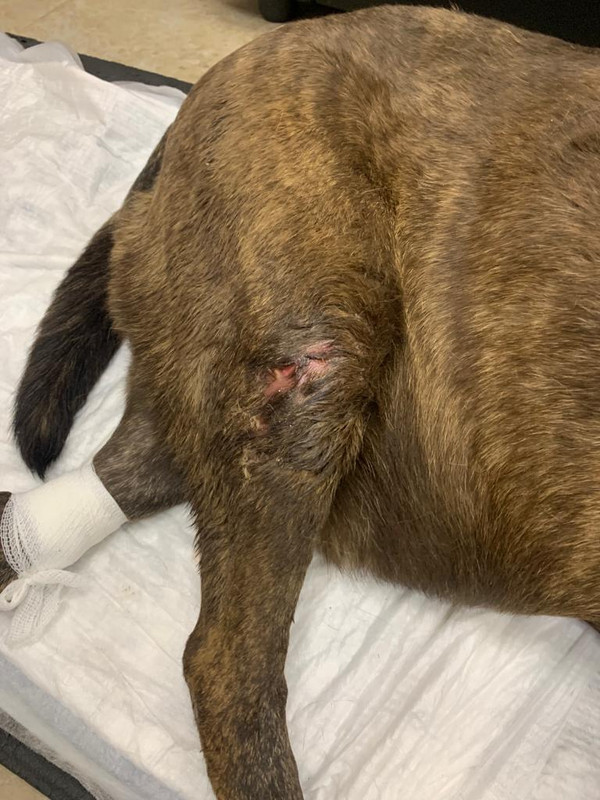 WhatsApp Image 2023-02-02 at 19.06.15 (2)