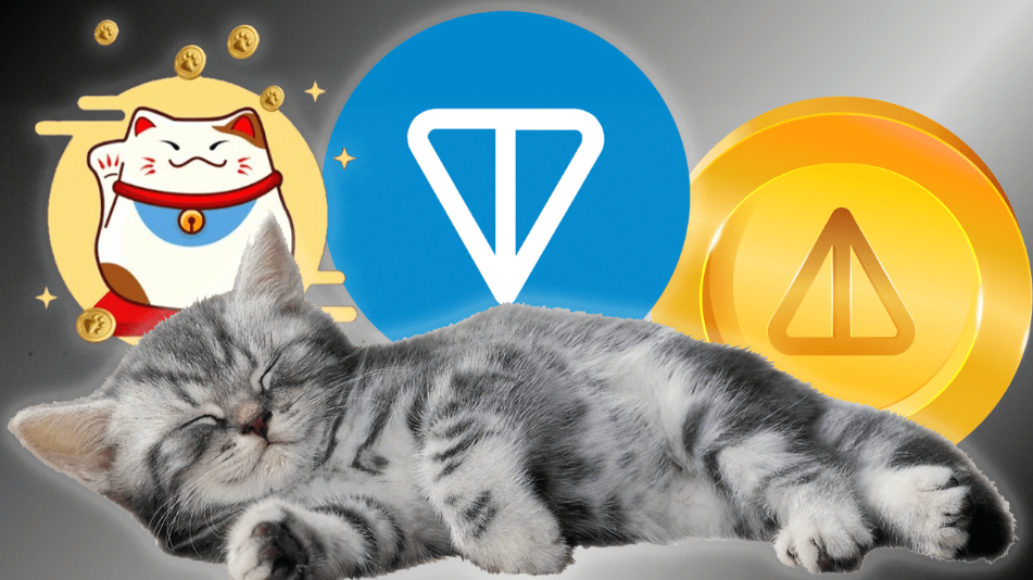 article imageCatizen снова меняет сроки аирдропа!