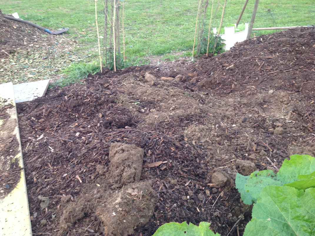 Kompostmiete Aus Drei mach Eins 2.Okt. 2015 (23)