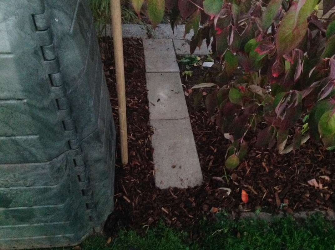 Komposter zügeln Fargesia setzen 24. 25 (11)