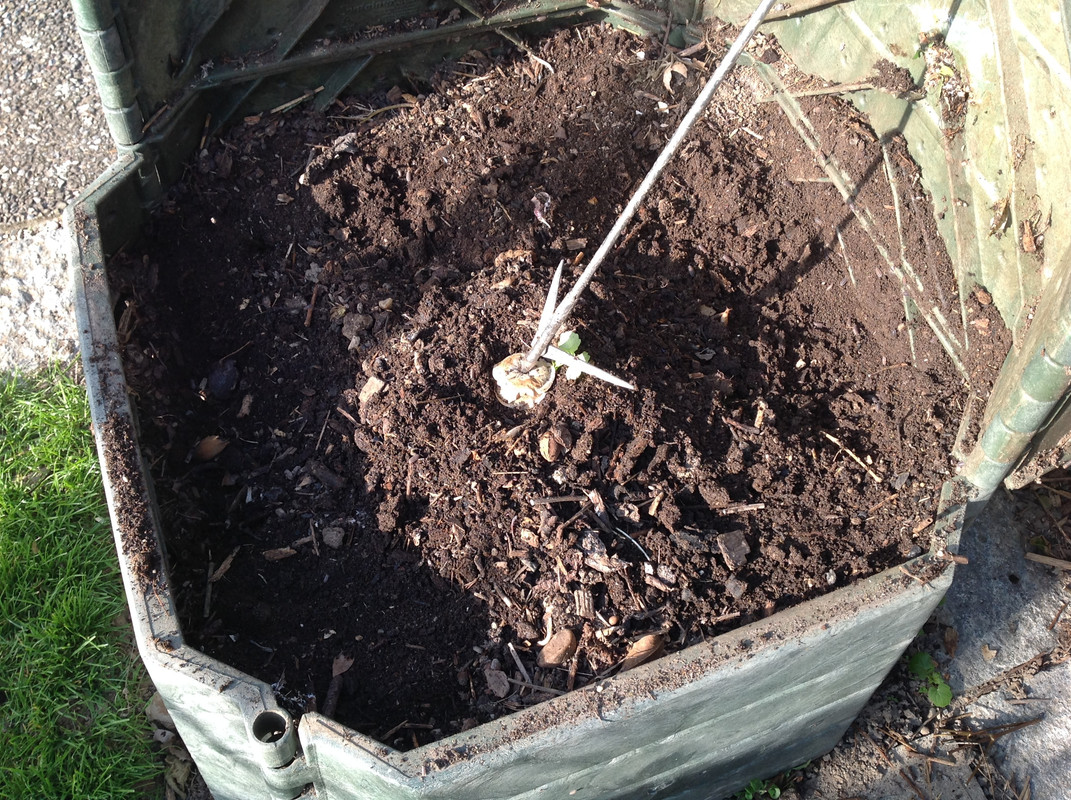 Schnellkomposter für den Alltag 3. Okt.2015 (2)