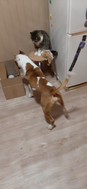 793F2BEA-9740-43DD-B1BA-3353F9AE24FD