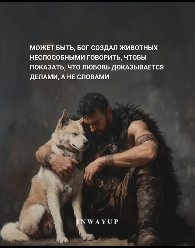 [Изображение: 961a24a32473f0c4d80939cd51807744.jpg]