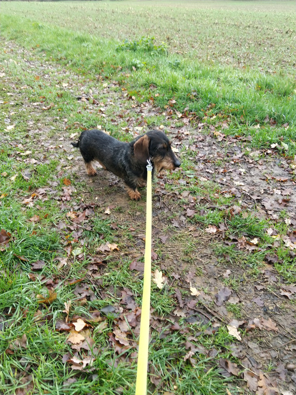 [Image: IMG-20201210-131521.jpg]