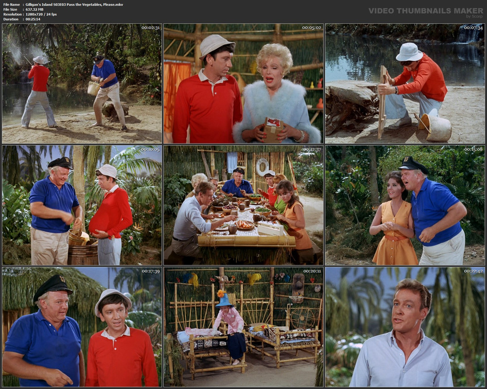 Gilligan's Island S03E03 Pass the Vegetables, Please.mkv