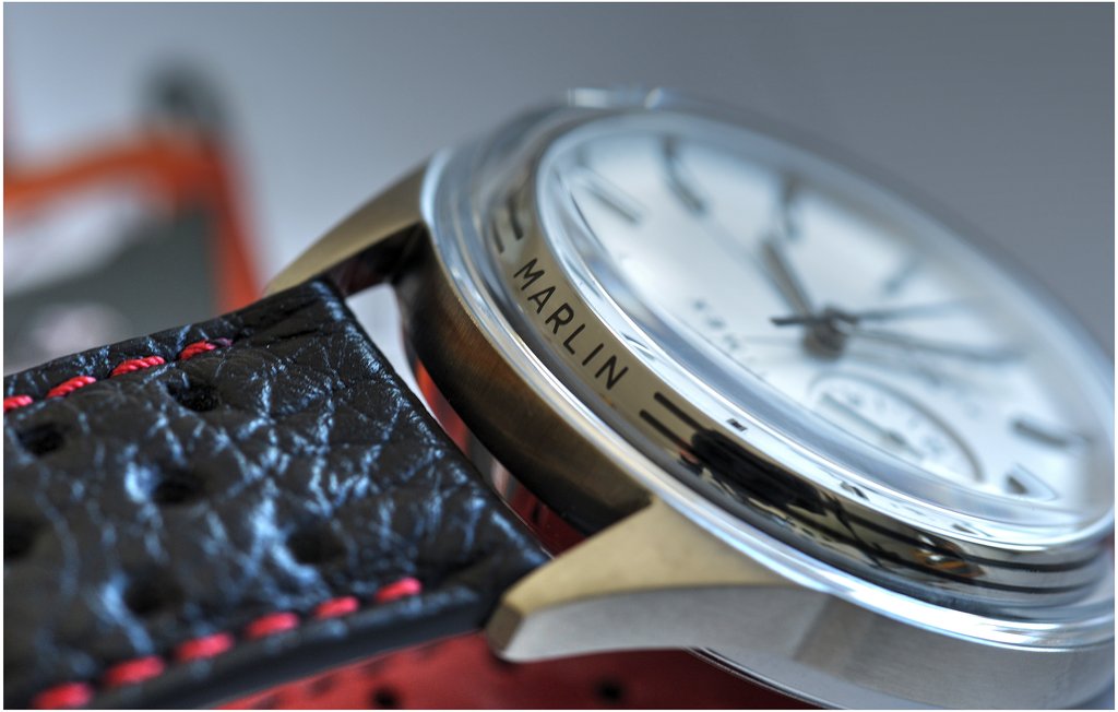 Parlons Timex - Page 6 DSC-1270-Dynamique
