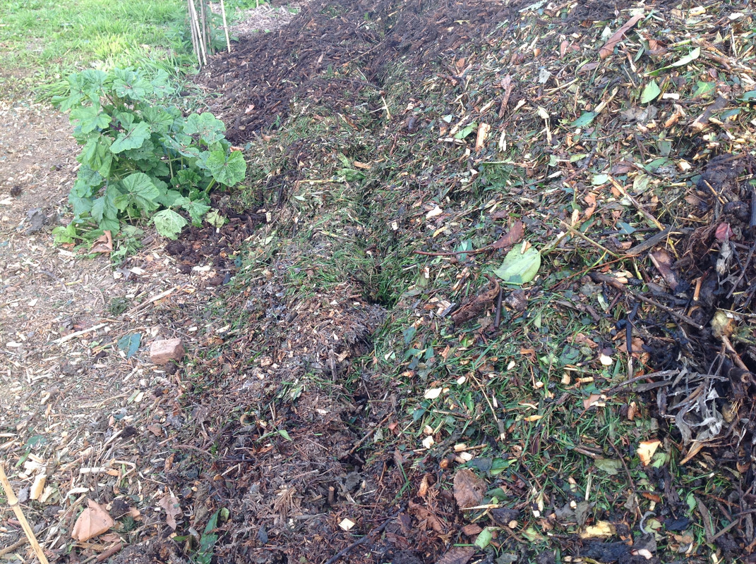 Kompostmiete Aus Drei mach Eins 3.Okt. 2015 (14)