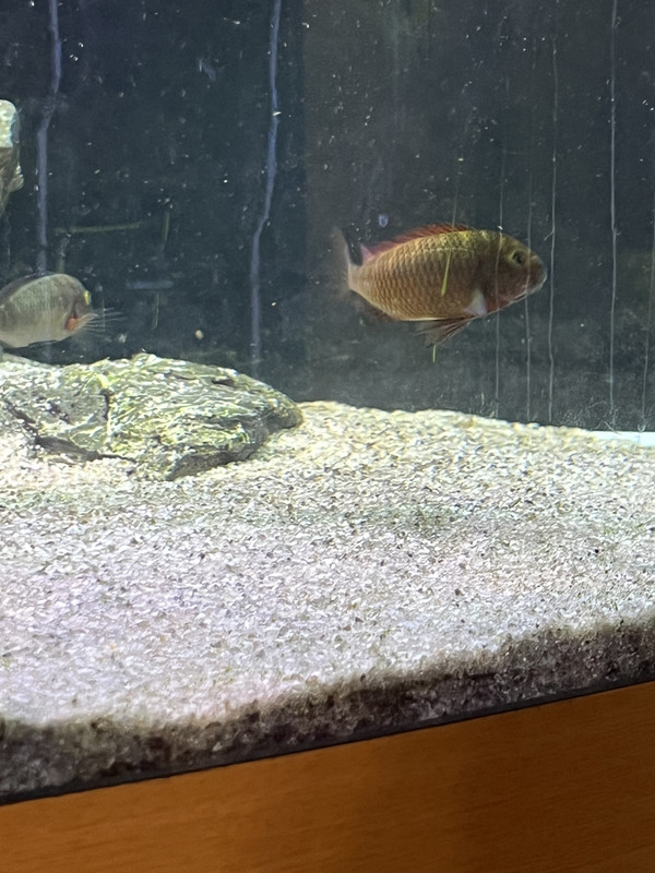 9149F002-4FE4-4145-AB53-4F3726AFD6EB