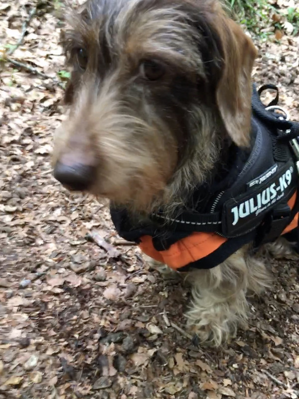 [Image: 1-A5-DB42-B-B783-47-E4-AB8-F-DCEB5-F8547-A2.jpg]