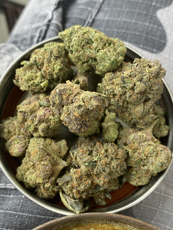 125B6DCE-3797-4508-8F3D-FFF1DE6BF3ED