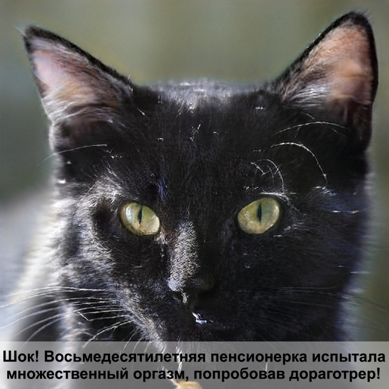 когтеточка лежанка для кошек