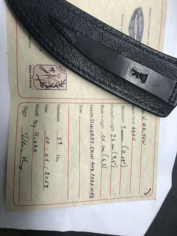 126365D3-ED42-466B-A102-26BC0E2A8A38