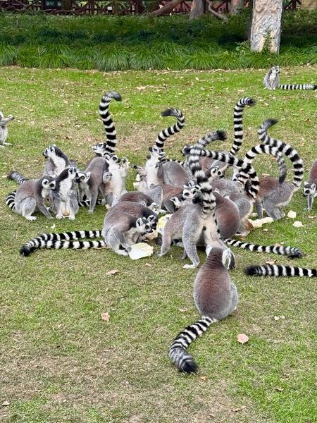 IMG 20251103 205014 144