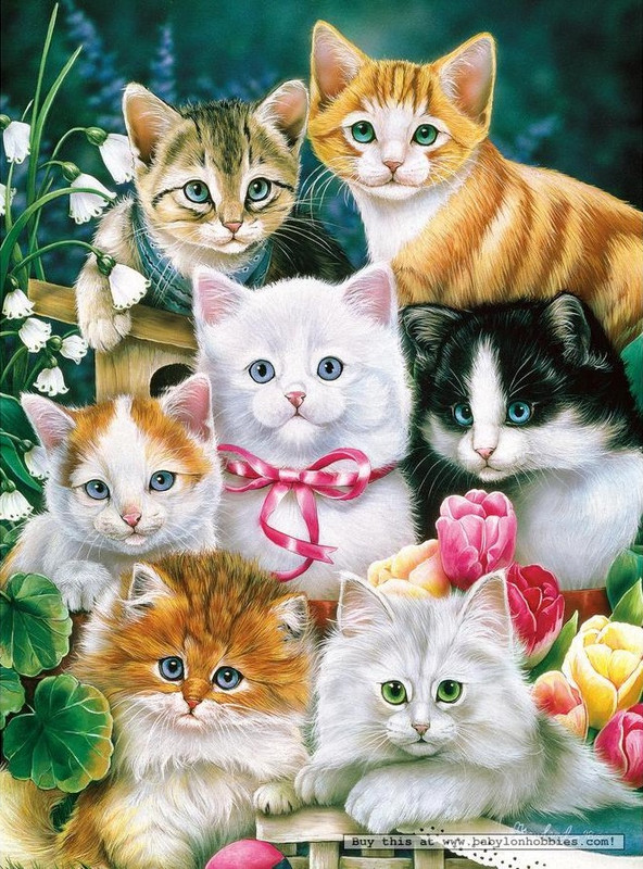 300-pcs---kitten-fancy---jenny-newland-by-masterpieces (1)