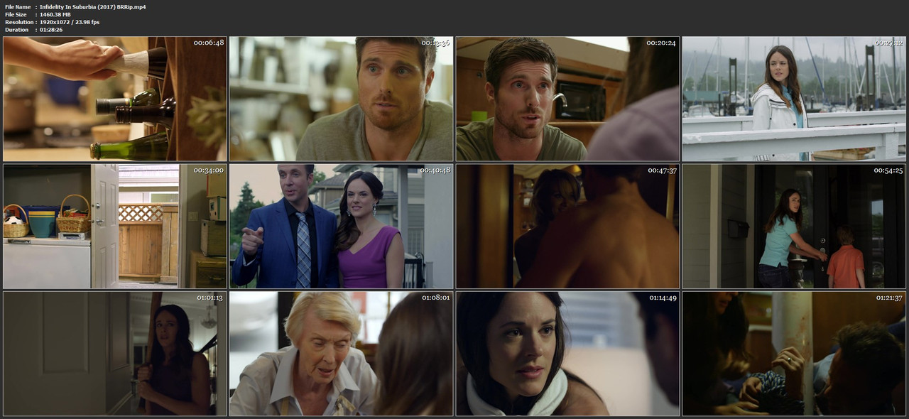 Infidelity In Suburbia (2017) BRRip.mp4