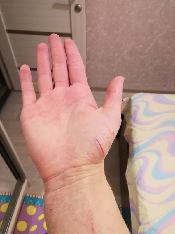 IMG_20171222_075522 - копия