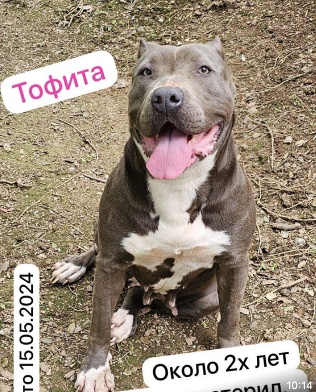 Снимок экрана 2024-05-27 в 20.56.37