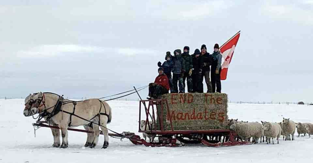 35F9E22F-F1DA-4F4B-8B62-489717C7F3B7