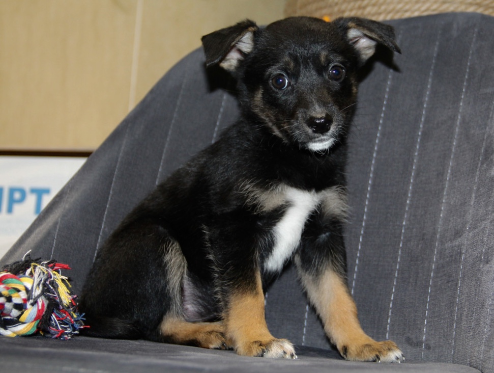 CB3F42E6-426B-44DF-87FD-D1789DFFABCA