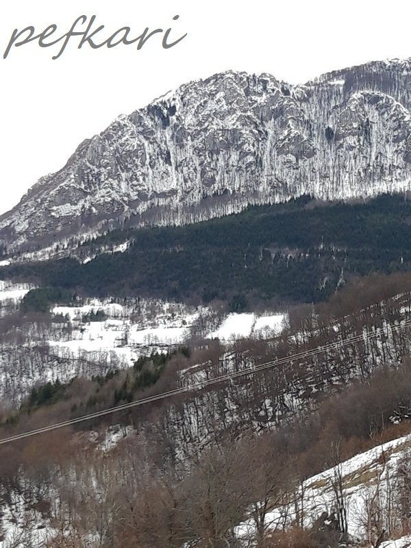 Slika