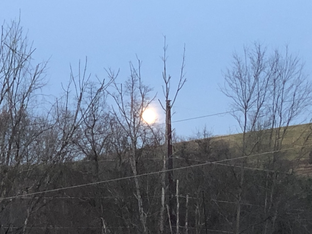 5A4A3C5F-D2A2-4B4E-8379-E305D81CB211