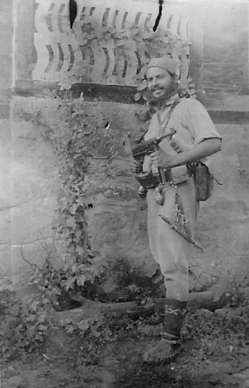 Вујица Николић